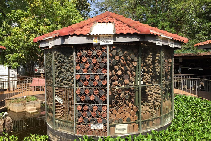 Cambodia Landmine Museum